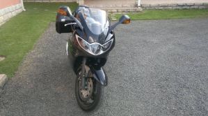 Triumph Sprint St
