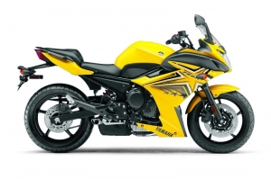 Yakima Fz6r
