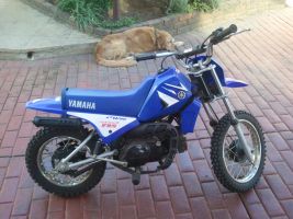 Yamaha Pw80