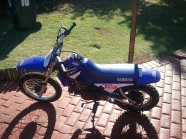 Yamaha Pw80