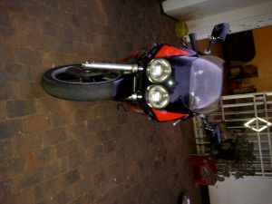 Yamaha Fzr 400