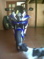 Yamaha R6