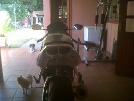 Yamaha R6