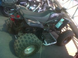 Yamaha Yfs-200 Blaster