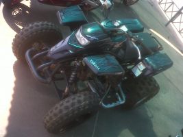 Yamaha Yfs-200 Blaster