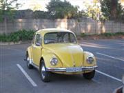  Vw Beetle