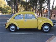 Vw Beetle
