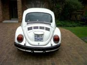  Sp Beetle
