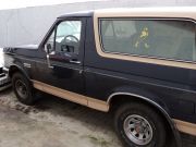  Bronco