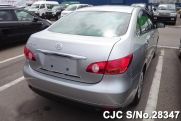  Bluebird Sylphy