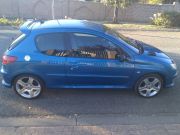  206 Gti 180