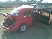  Beetle