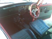  Beetle