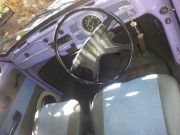  Beetle
