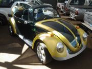  Beetle