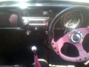  Beetle