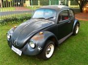  Beetle