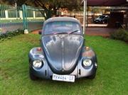 Beetle