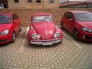  Beetle 1600