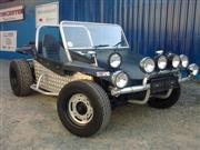 Buggy