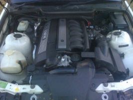  323i