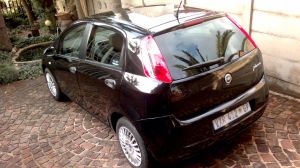  Punto