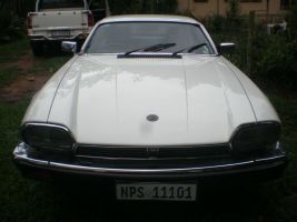  Xjs