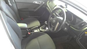  Cerato