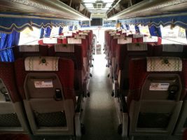  Granbird Bus