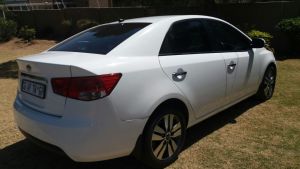  Cerato
