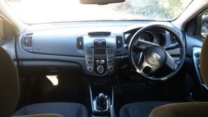  Cerato