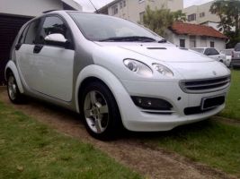  Smart Car
