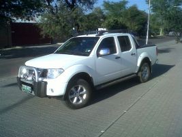  Navara