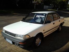  Corolla 