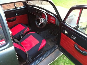  Beetle