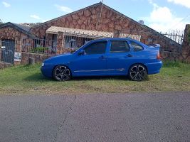 Polo
