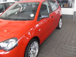  Polo Vivo