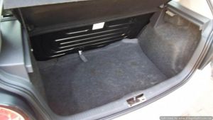  Polo Vivo