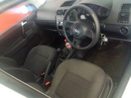  Polo Vivo
