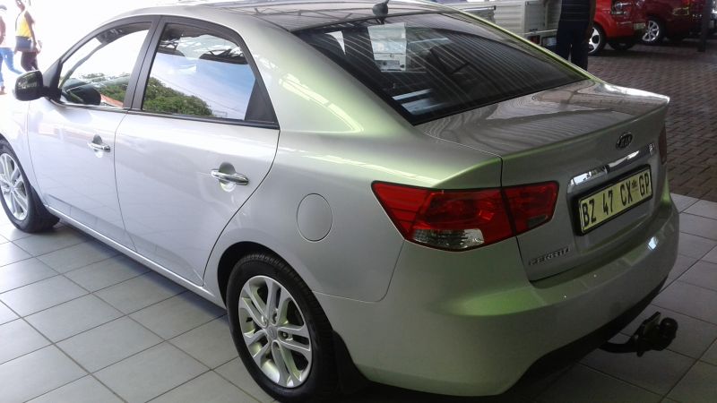  Cerato