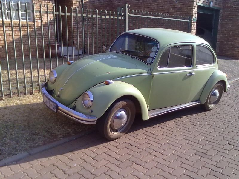  Beetle