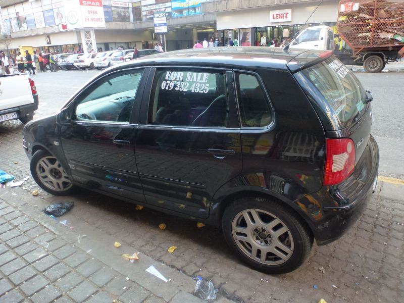  Polo