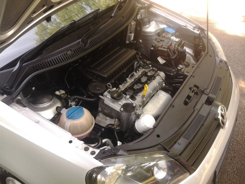  Polo Vivo
